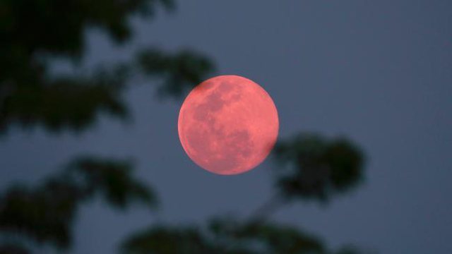 Hëna e parë e plotë për vitin 2021; Ja se si do të ndikojë tek të gjitha shenjat e horoskopit