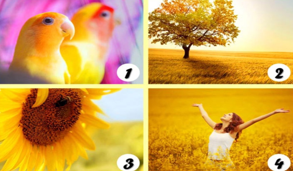 Zgjidhni njërën nga nuancat e së verdhës dhe zbuloni disa tipare të karakterit tuaj