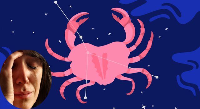 Të ndjeshëm, por jo të pambrojtur! Këto janë gjërat që nuk dini për një Gaforre