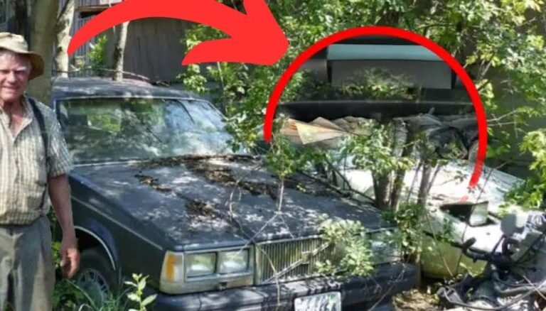 Burri blen një BMW të prishur nga një pensionist dhe shpërthen në lot kur zbulon çfarë ka brenda